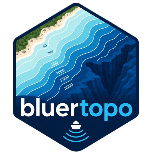 bluertopo logo